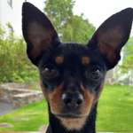 Ersteller:in Sabrina Profilbild