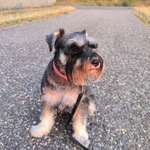 Ersteller:in Kornel Profilbild