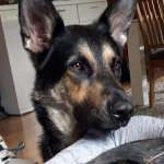 Ersteller:in Kai Profilbild