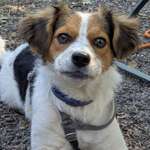 Ersteller:in Martina Profilbild