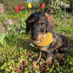 Ersteller:in Christine Profilbild