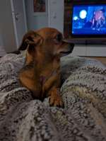 Medikament umformilieren lassen.-Beitrag-Bild