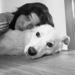 Ersteller:in sheila Profilbild