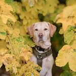 Ersteller:in Patricia Profilbild