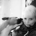 Ersteller:in Sandra Profilbild