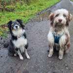 Ersteller:in Sarah Profilbild