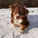 Ersteller:in Marissa Profilbild