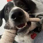 Ersteller:in Lina & Profilbild