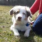 Ersteller:in Beatrice Profilbild