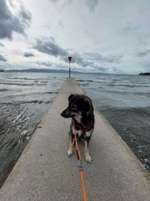 jacobweg von münchen nach Lindau-Beitrag-Bild