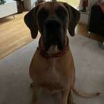 Ersteller:in Jutta Profilbild