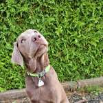 Ersteller:in Sophie und Profilbild