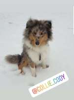 Schnee auf dem Winterberg.-Beitrag-Bild