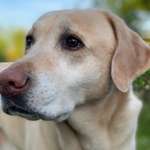 Ersteller:in Nadine Profilbild