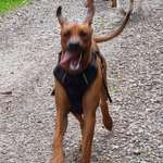 Ersteller:in Dorit Profilbild