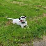 Ersteller:in Maria Profilbild