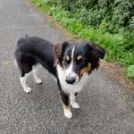 Ersteller:in Alexander Profilbild