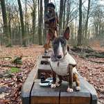 Ersteller:in Yessie & Profilbild