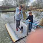 Ersteller:in Carola Profilbild