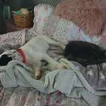 Ersteller:in Nadine Profilbild