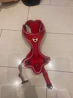 RESERVIERT - Rotes Curli Mesh Geschirr Belka comfort mit dog finder - Größe S-Beitrag-Bild