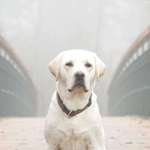 Ersteller:in Nicole Profilbild