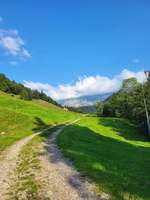 Hundeauslaufgebiet-Lillyweg-Bild