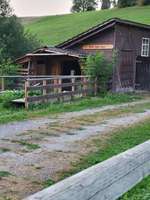 Hundeauslaufgebiet-Botsbergerriet-Bild