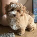 Ersteller:in Ivan Profilbild