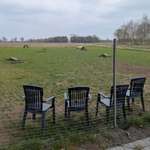Hundeauslaufgebiet-Hundefreilaufwiese-Bild