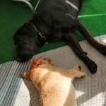 Ersteller:in Carola Profilbild