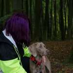 Ersteller:in 🐶 Profilbild