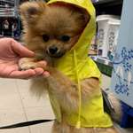 Ersteller:in Alex Profilbild