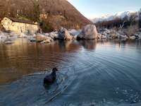 Hundeauslaufgebiet-Strand in Tegna-Bild