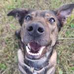 Ersteller:in Vanessa Profilbild