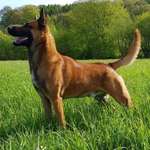 Ersteller:in Jane Profilbild