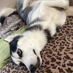 Ersteller:in Milena Profilbild