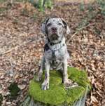 Ersteller:in Kim Profilbild