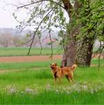 Ersteller:in Gabriela Profilbild