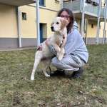 Ersteller:in Jamie Profilbild