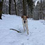 Ersteller:in Michelle Profilbild