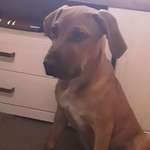 Ersteller:in Jörg Profilbild