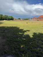 Hundeauslaufgebiet-Marienweg Burg-Bild