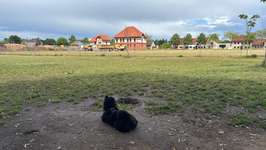 Hundeauslaufgebiet-Marienweg Burg-Bild