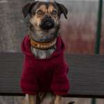 Ersteller:in Belinda Profilbild