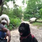 Ersteller:in Victorine Profilbild