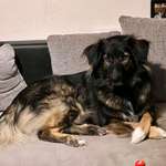 Ersteller:in Andrea Profilbild