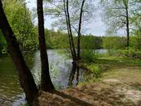 Hundeauslaufgebiet-Angelsee / Hengemühlensee-Bild
