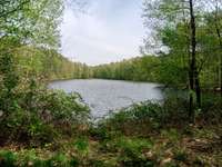 Hundeauslaufgebiet-Angelsee / Hengemühlensee-Bild