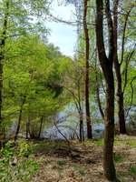 Hundeauslaufgebiet-Angelsee / Hengemühlensee-Bild